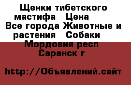 Щенки тибетского мастифа › Цена ­ 80 - Все города Животные и растения » Собаки   . Мордовия респ.,Саранск г.